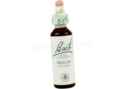 naturpeak bach