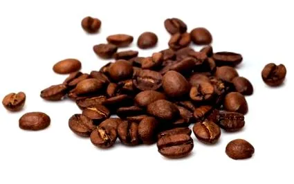 1000g