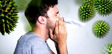 spray allergodil