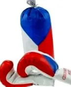 чанти