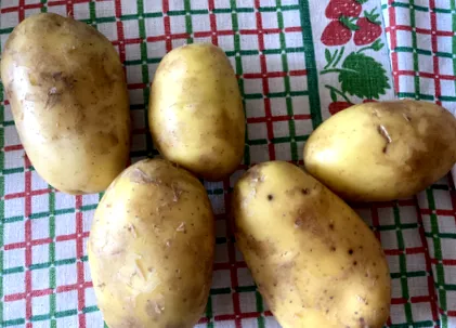 făină clătite