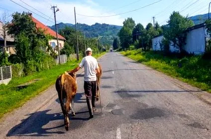 хълмове