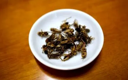dieta