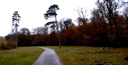 kačín