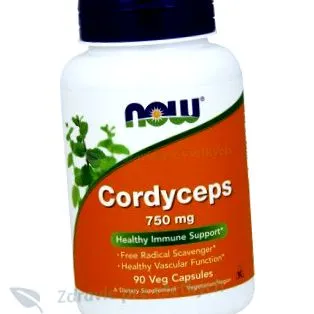 cordyceps