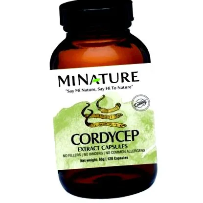 cordyceps