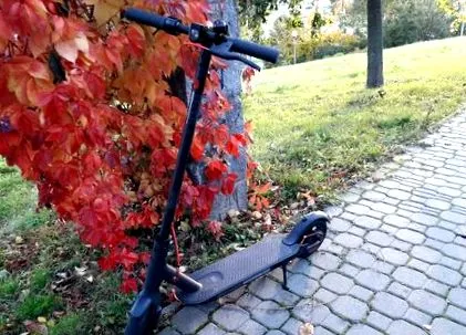 завист