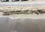 essens informații despre