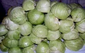 casă murată