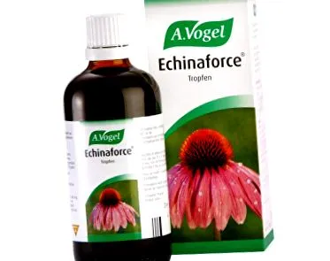 naturală echinacee