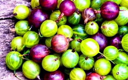 fructelor