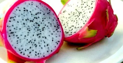 dragon pitahaya