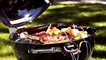 Weber Master-Touch