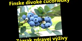 финландски