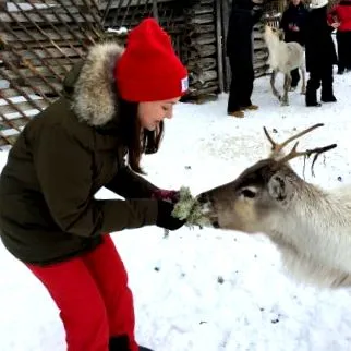 Finlanda este slovacia