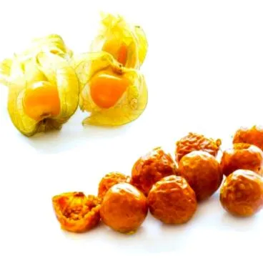 physalis