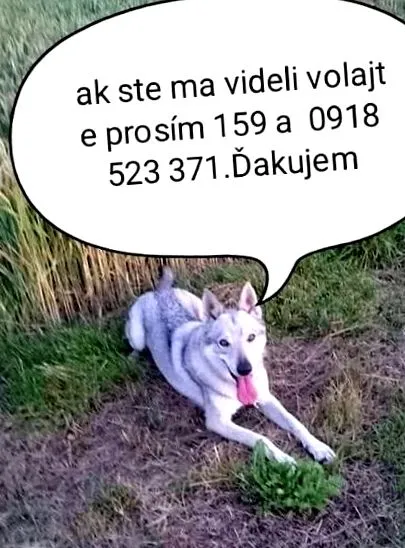 снимка снимка