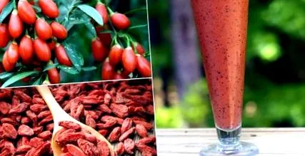 goji goji