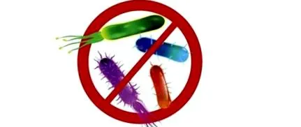 pylori pylori
