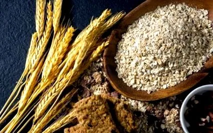 fibre sursă