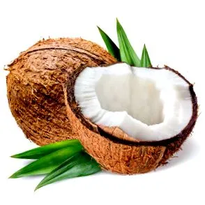 ketodiet cocos