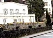 jelei vadászgörény