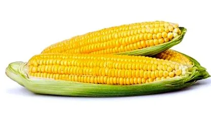 kiváló