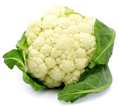 gazdag