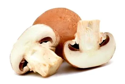 gazdag