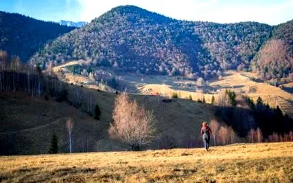 napos retreat