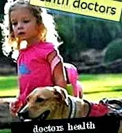 diabetic labrador