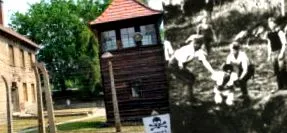 съпругът