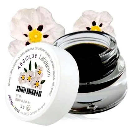 labdanum