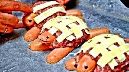 carne turtles