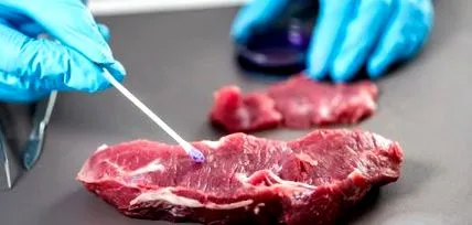 salmonella poate