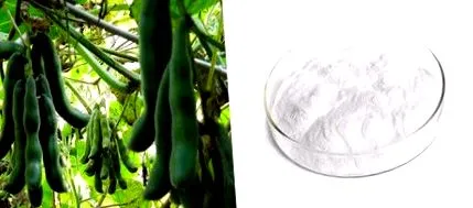 extract