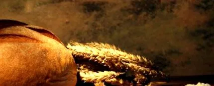 pâine pâine