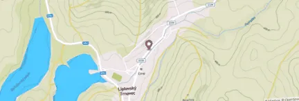 csirkehamburger mézes