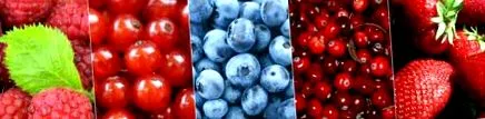 vitamine
