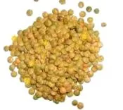 slăbesc