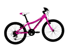 biciclete