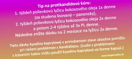 кандида