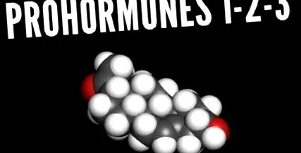 Prohormonii sunt