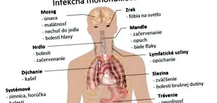 infecțioasă transmiterea