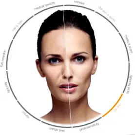 contour