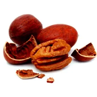 Vitamina Vitamina