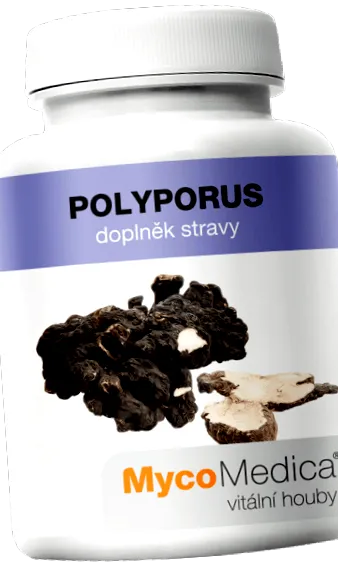 polyporus