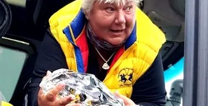 deschisă mărturisire