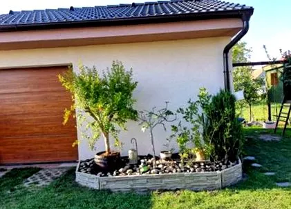 galbenă
