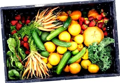 nutriția planuri
